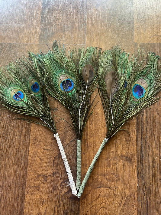 Peacock Feather Wand